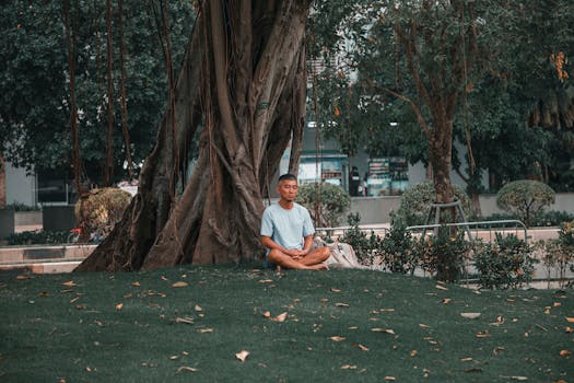 Meditace: Účinný Způsob, Jak Zvládnout Denní Stres